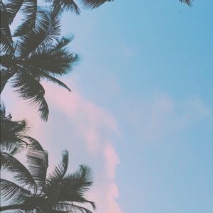 Meet your Posher, Gabby